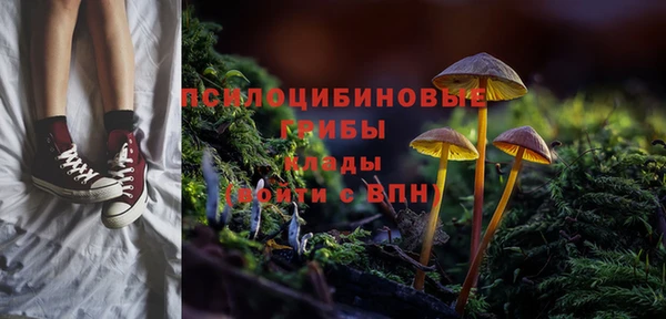 ALPHA-PVP Алексеевка